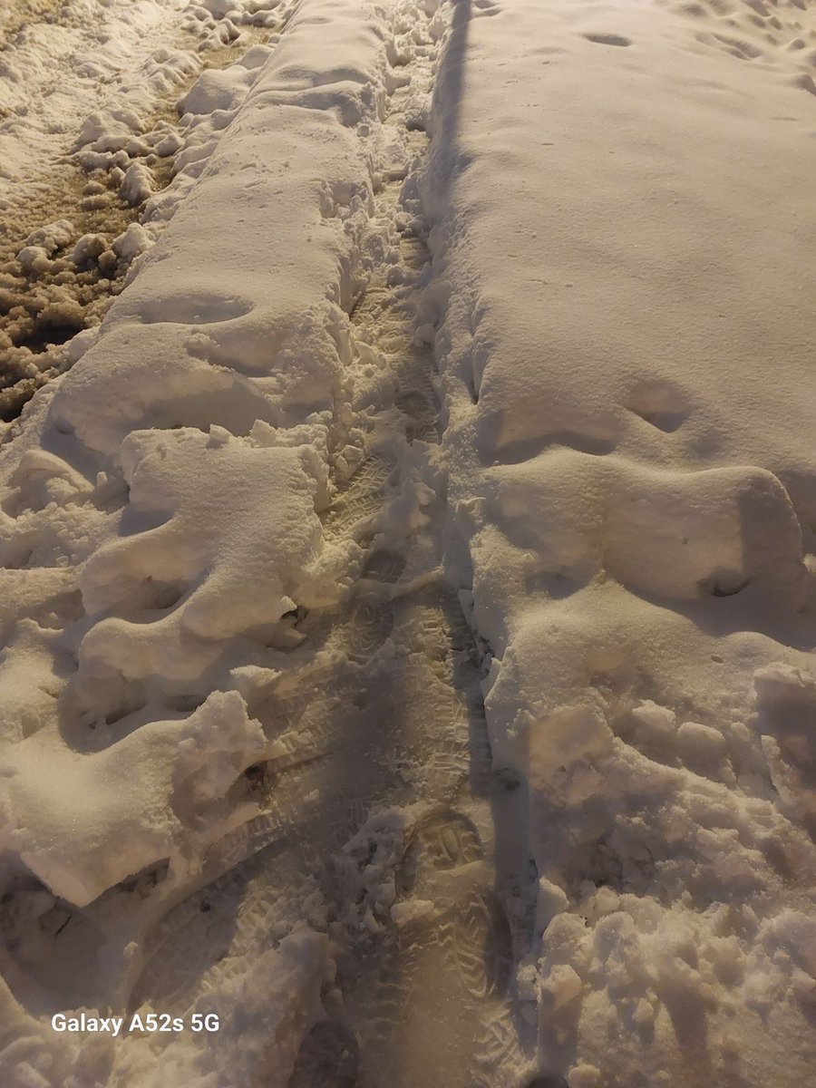 SspBatajnica's tweet image. Sneg u januaru iznenadio gradske službe.
Batajnica, naselje Šangaj.