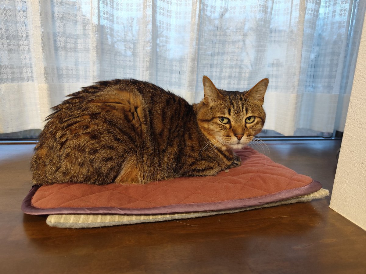 実家ついたー!　ワインちゃんただいま😊😺