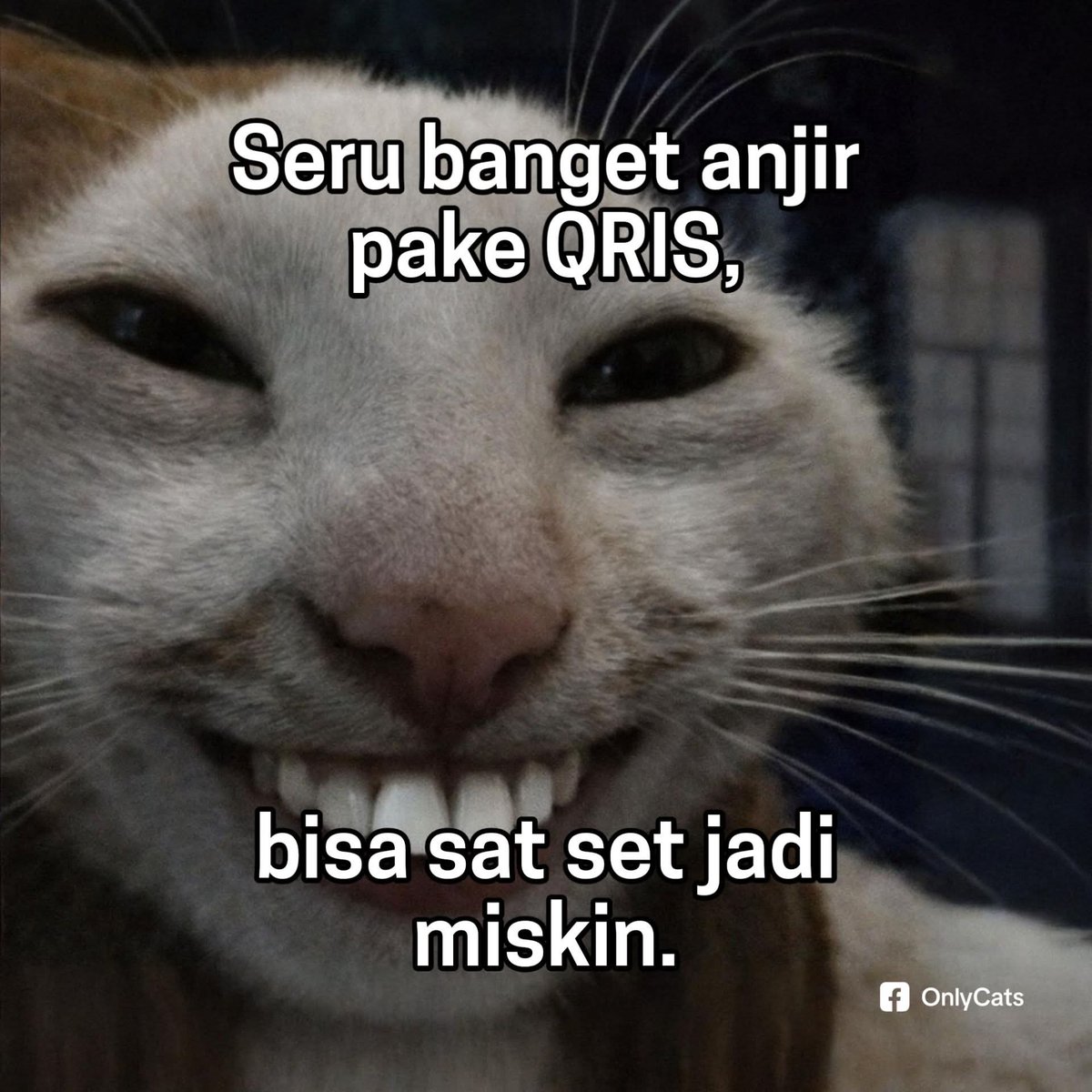 KucengTerbanggg's tweet image. 