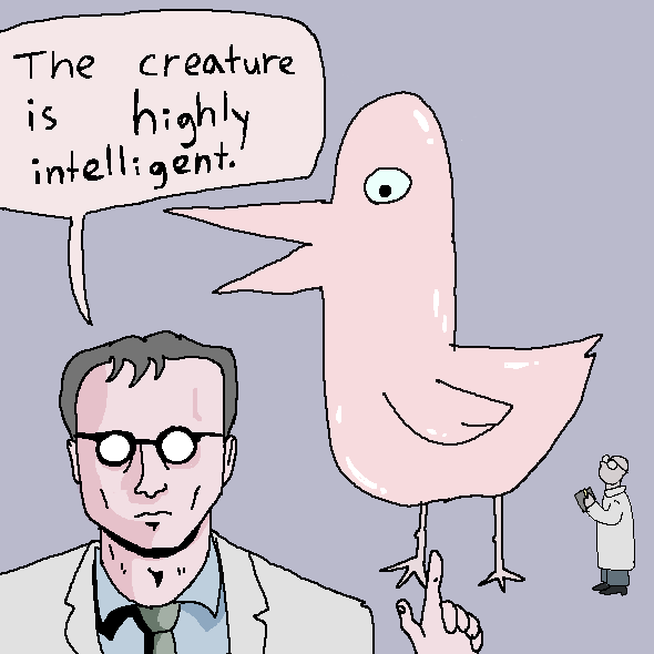 foolibuster's tweet image. the intelligent creature...