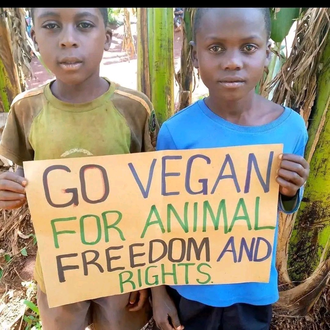 KoyuoF's tweet photo. We hope to achieve the required amount of $800 to secure healthy food for the animals and feed them. Please. Every person who supports animals helps and contributes if you wish.  Help and donation I am very grateful to all of you in preserving animals, https://t.co/as5TYXpbuj https://t.co/KJZVuANvFE