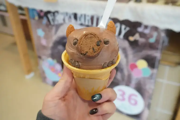 日本で2番目に小さい動物園「五月山動物園」で暮らすウォンバッってどんな動物？

五月山動物園は、国内では２園しかないウォンバットを飼育している動物園。
全国各地からウォンバットを一目見ようと多くの人が訪れています。