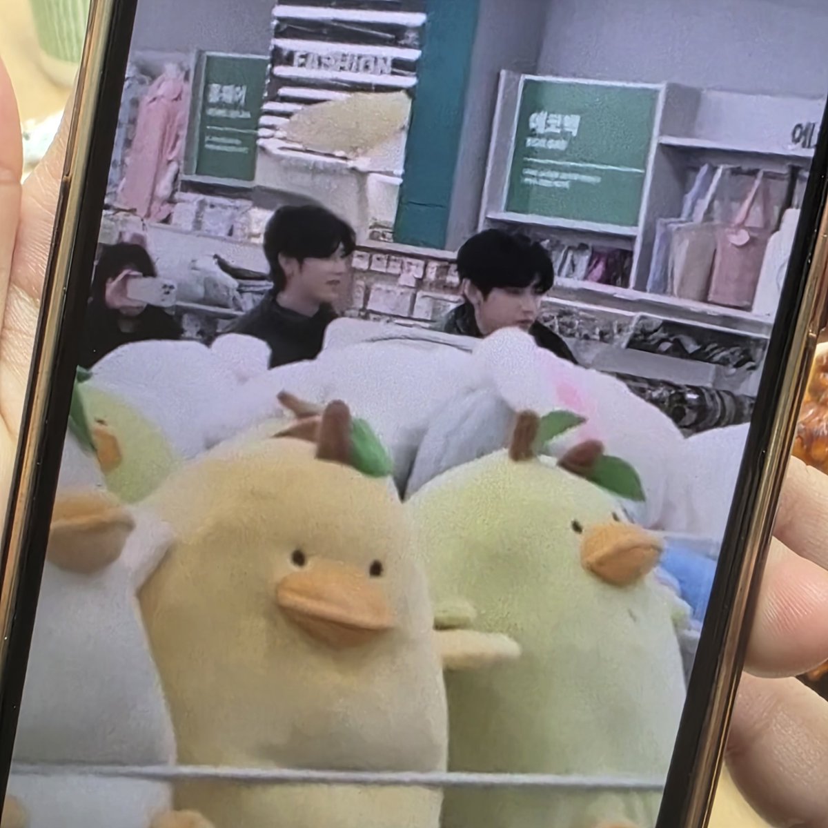 엥 리키랑 장하오님이 학교근처에오셧더요........
친구들이다이소갓다가찍어옴미친