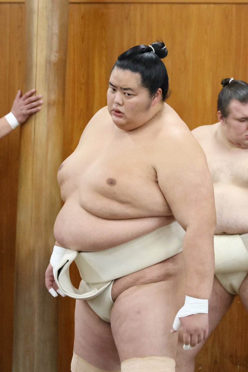 稽古総見＞ 横綱審議委員会稽古総見の様子 大関 琴櫻。 #sumo #相撲