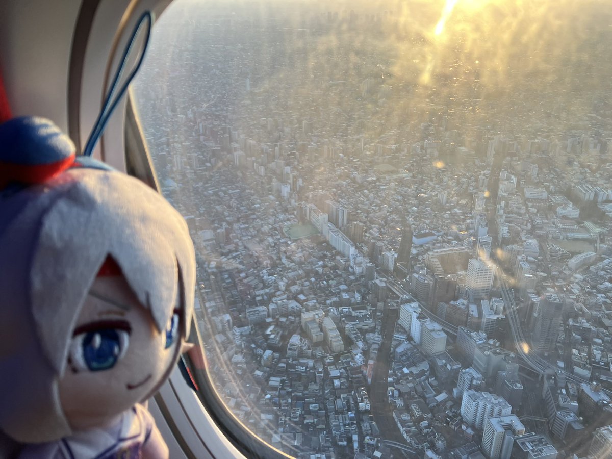 さらば北海道 ただいま東京 #オグリキャップ #タマモクロス