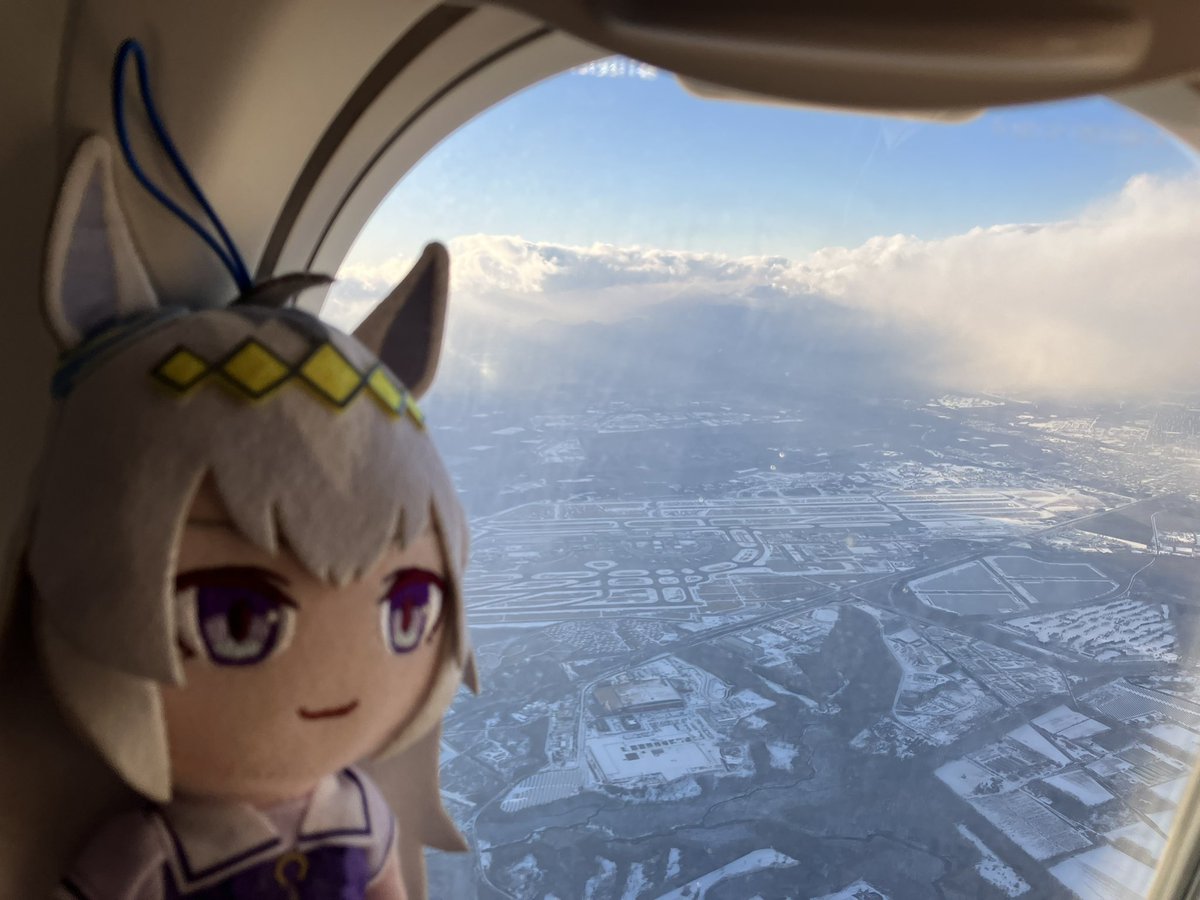 さらば北海道 ただいま東京 #オグリキャップ #タマモクロス