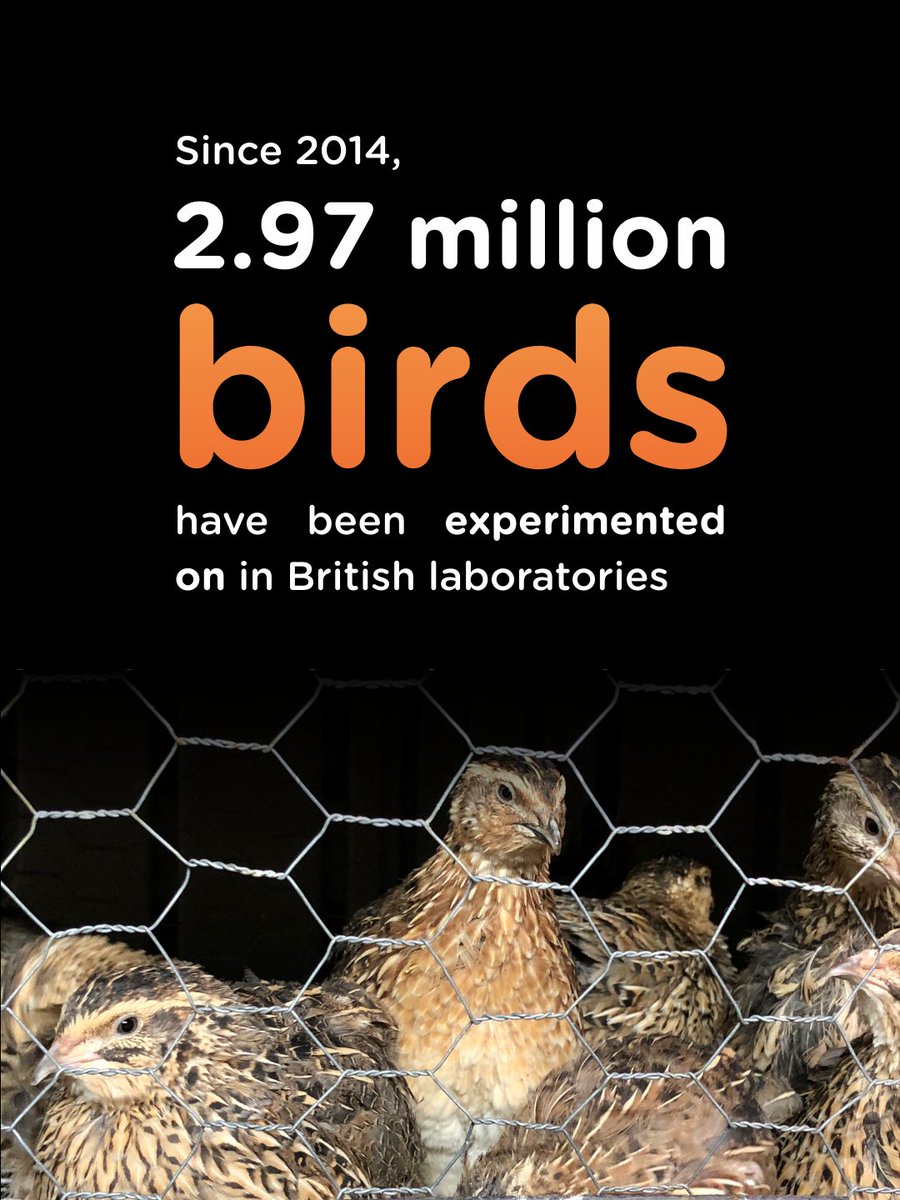 The Humane Research Trust tweet media