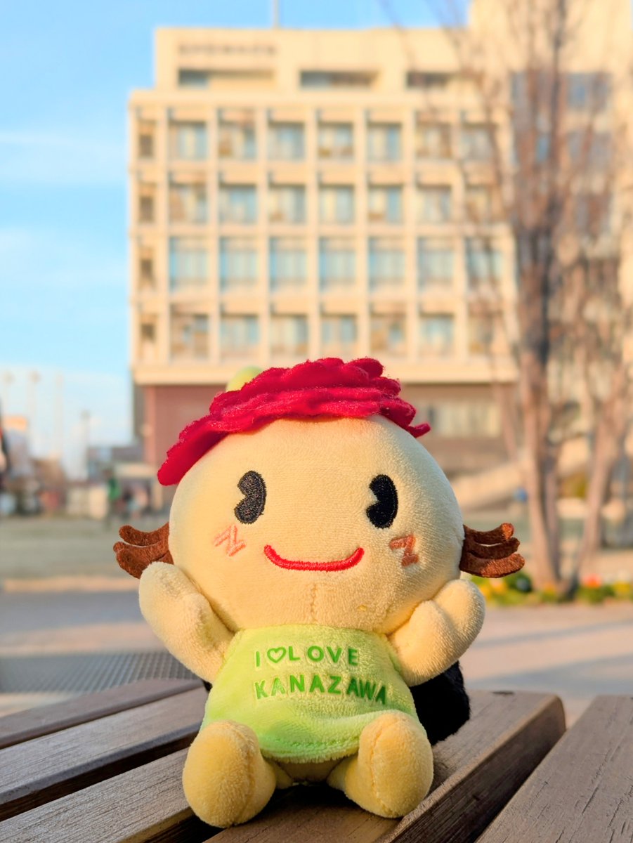 ぼたんちゃんのつぶやき】 🌅🌅🌅🌅🌅🌅2026🌅🌅🌅🌅🌅🌅 あけまして