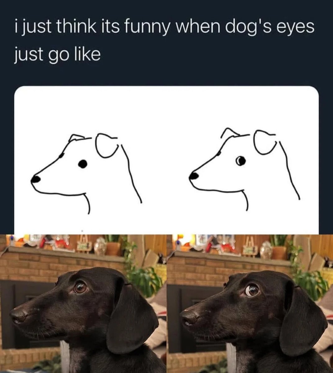 WholesomeMemes (@wholesomememe) on Twitter photo 