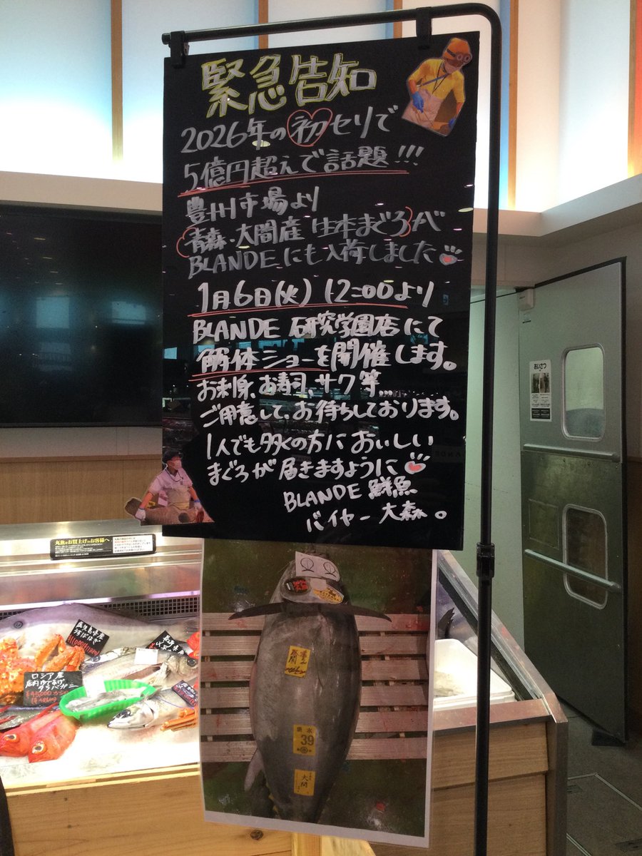 📢緊急予告‼️ #大間のマグロ がやってきた‼️ 2026年初セリで5億超え