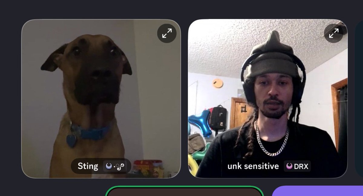 eroutix's tweet photo. they’re in a zoom meeting @exjqs https://t.co/jpAUO3gKmi