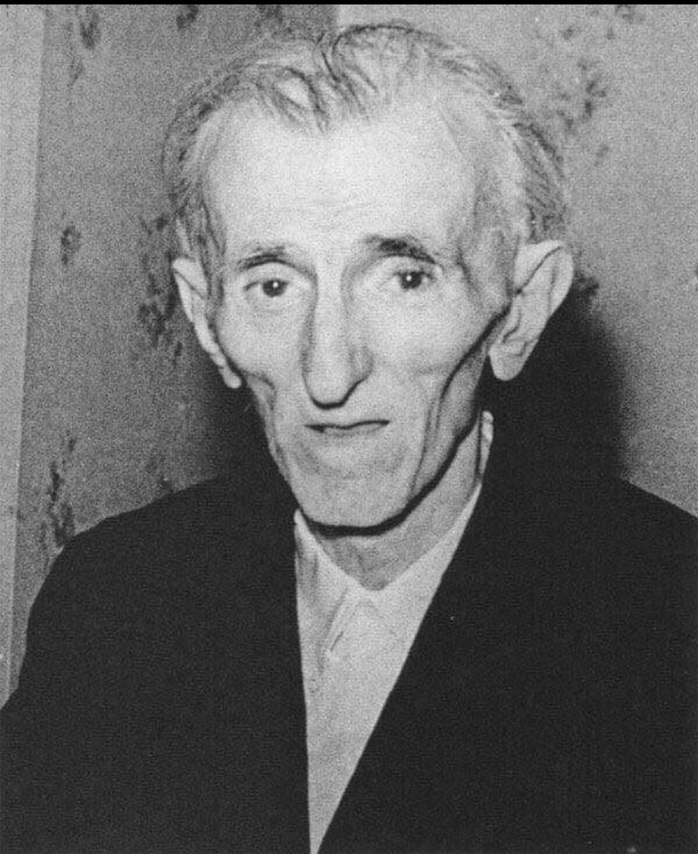 Baraedian tweet media