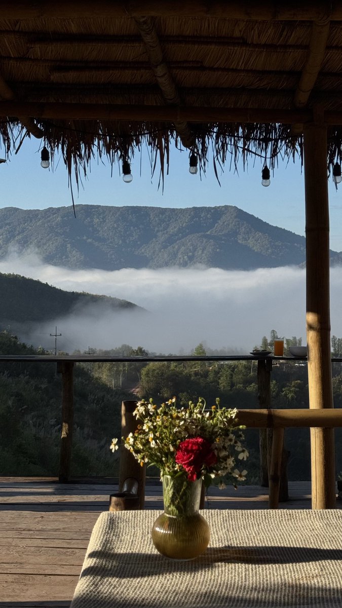 lostyouinmay's tweet image. อยากให้ทุกคนไปเที่ยว "น่าน" จริงๆนะคือสวยเหมือนไม่มีอยู่จริงเลย vibe ดีทั้งเช้า-เย็นเลย ทะเลหมอกตอนเช้า อากาศเย็นสบาย mood ดีพอๆกับเชียงดาวเลย ได้เห็นดาวตอนกลางคืนโคตรสวย ควรถูกค้นพบอีกเยอะๆ