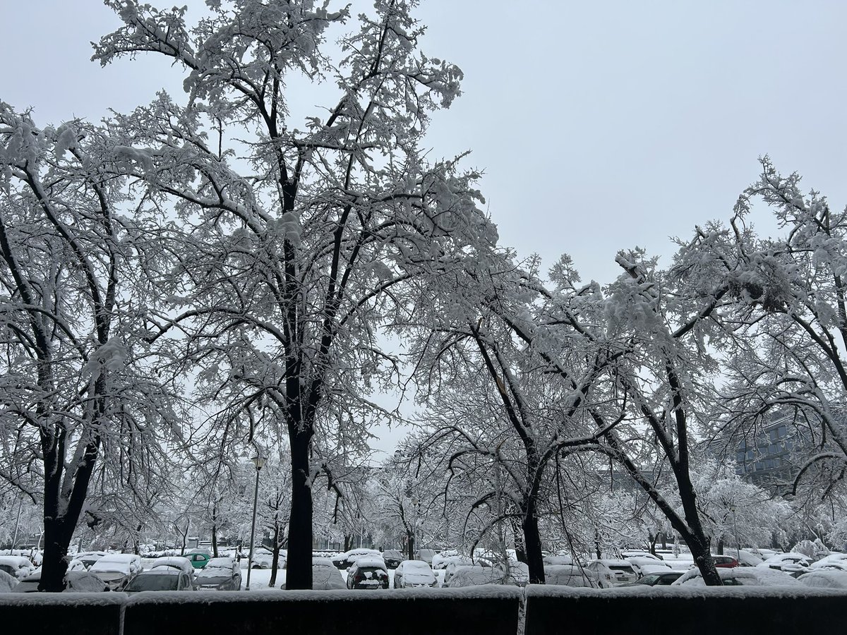 samo biciklisti na poslu danas