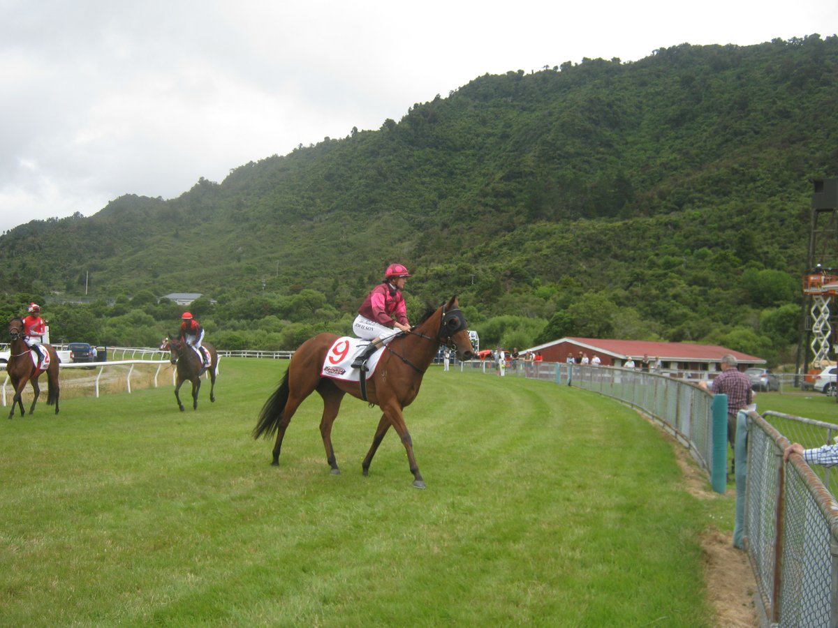 Robert Stewart tweet media