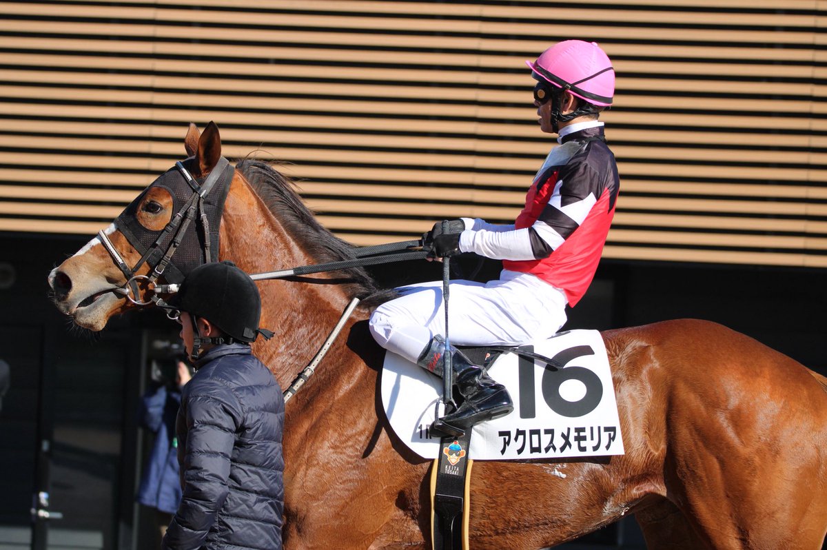 はるちゃんママ ハルちゃんちのママ (@zbsJUMqxrLzXEM8) / Posts and Replies / X