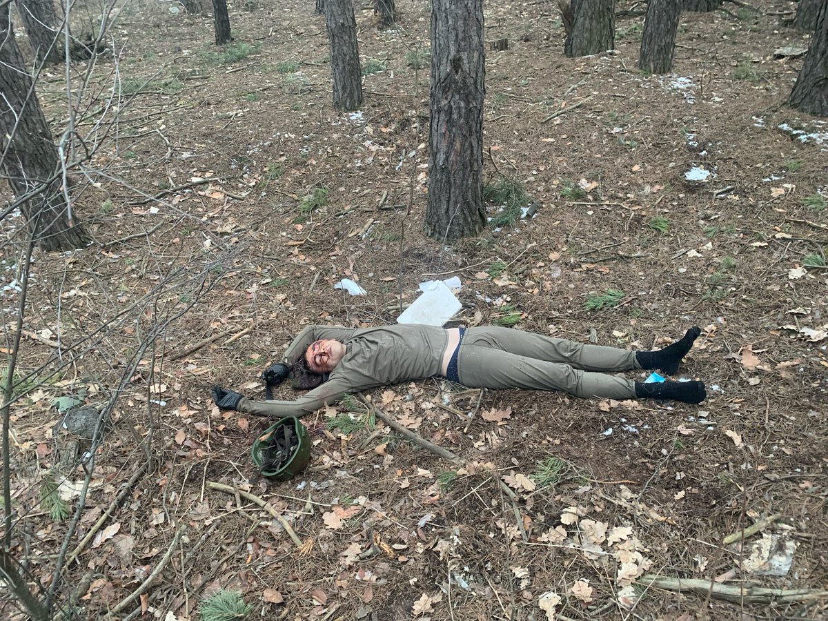 Volodymyr Demchenko tweet media