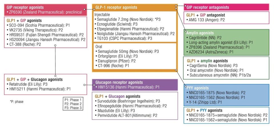 BartoszHudzik's tweet photo. Beyond sema & tirz: a new wave of #GLP1–based drugs is here-dual, triple & oral agents targeting GLP-1, #GIP, #glucagon & #amylin to drive greater #weight ⬇️ & #glycemic control #obesity & #T2D 👉https://t.co/NnSLsspill @DrNadolsky @DrKarlNadolsky @NutritionMadeS3 @DrMarthaGulati https://t.co/78o0mfWSre