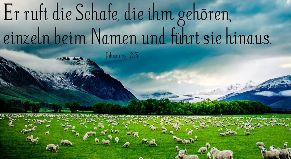 Was würde sich in deinem Leben verändern, wenn du deine Identität nicht aus der Welt, sondern von Gott empfängst — so wie Mose, als der Herr ihn beim Namen rief?
Entdecke in meinem neuen Beitrag „Gott ruft uns beim Namen“, wie sich das auf deine Entwicklun
heiligederletztentage.org/blogs/lobis-sc…