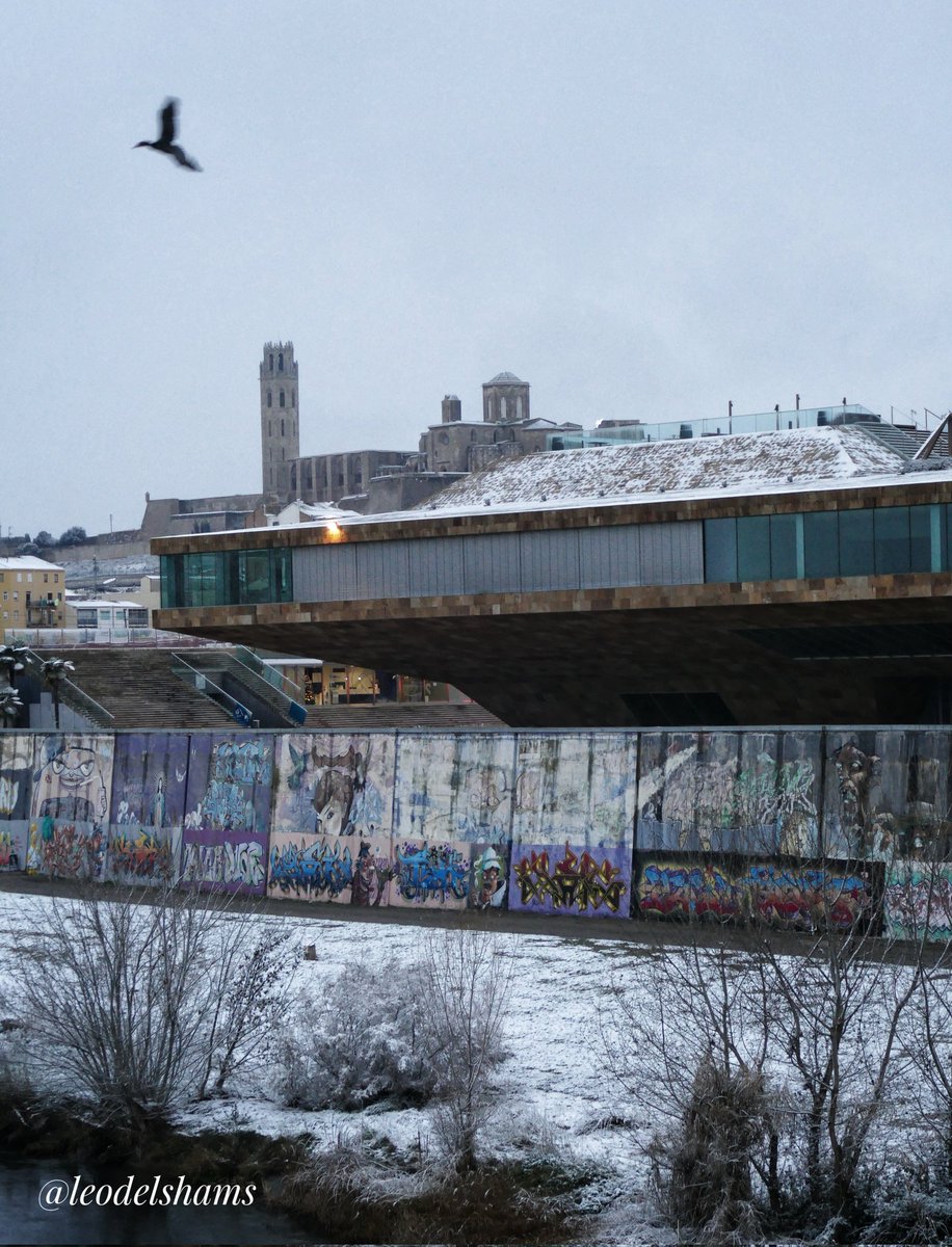 Lleonard Delshams Valdes tweet media