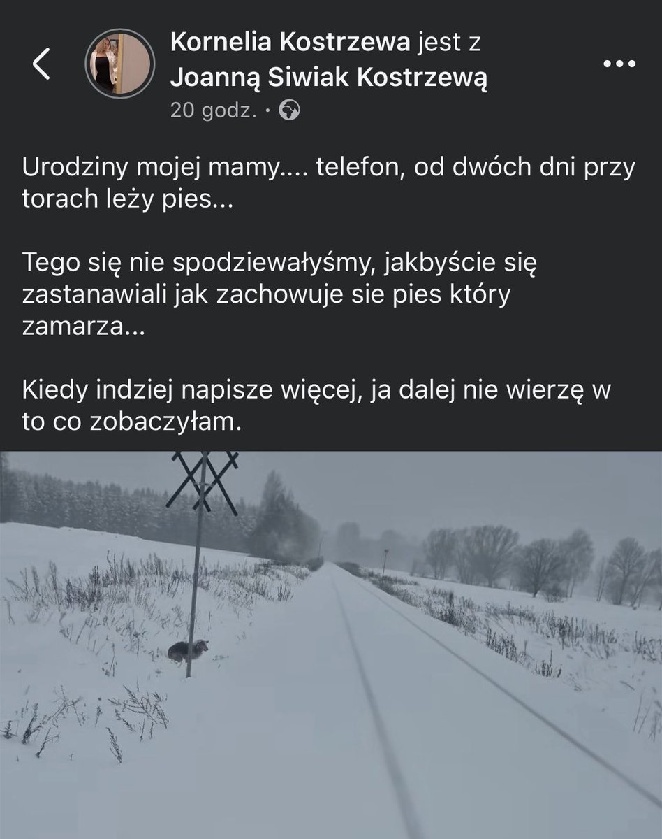KSzalew's tweet image. 💔🐶Głęboka Polska i znieczulica!! 
Dwa dni pies tak płakał na śniegu, ludzie wiedzieli i nic. Dziewczyny z Pomóżmy Psiakom z Wiebarka jak tylko się dowiedziały, pognały na pomoc. 

W komentarzach link do zbiórki na pomoc tej suni i innym psiakom oraz link do ich strony na fb. 👇