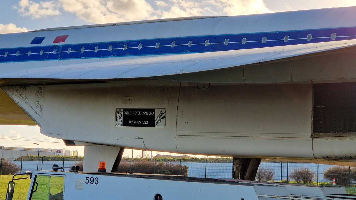 C'était quand même un bel oiseau....