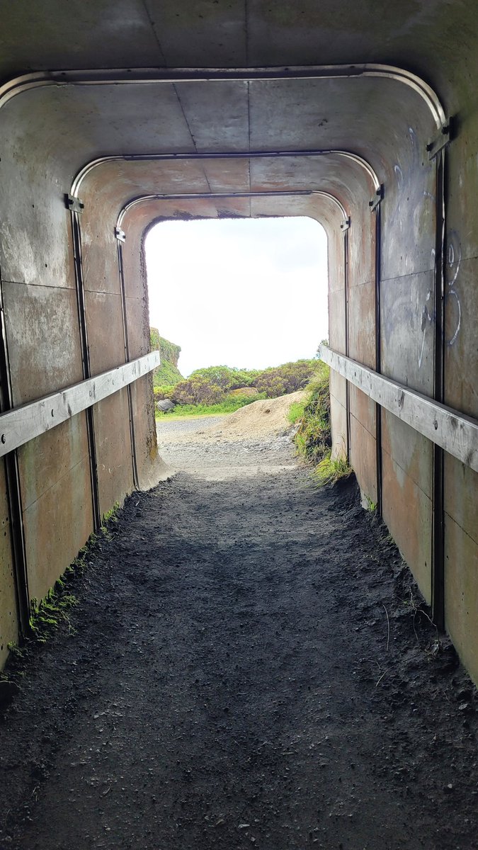 Anne Gregory tweet media