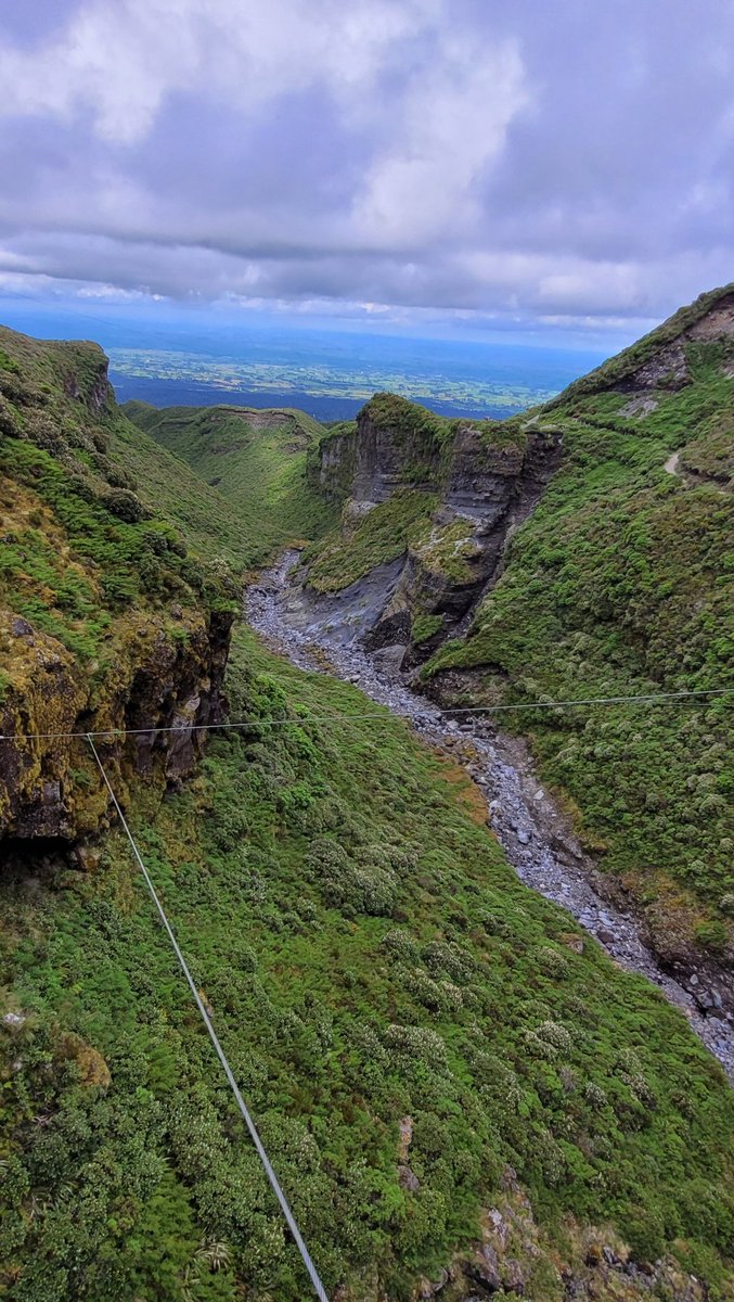 Anne Gregory tweet media