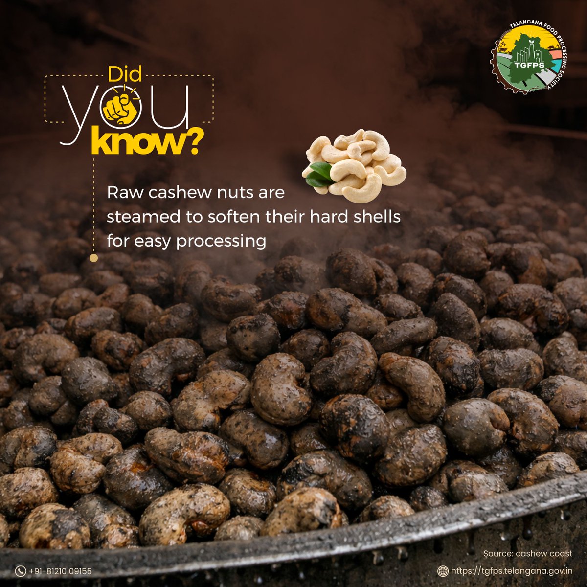 Telangana_FPS's tweet photo. Raw cashew nuts are not consumed directly. They are first steamed to soften the shell, enabling careful handling and further processing that brings out the nut’s taste and texture! 

#Telangana #TelanganaFoodProcessing #TGFPS #RawCashews #NutProcessing #HealthySnacking #CashewNuts #FoodScience #SustainableSnacking #GourmetNuts