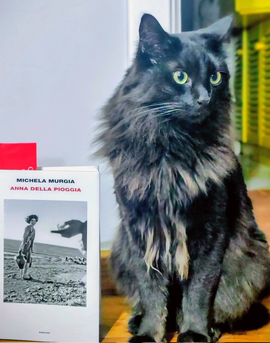 #nowreading 📖
#michelamurgia ⛈️