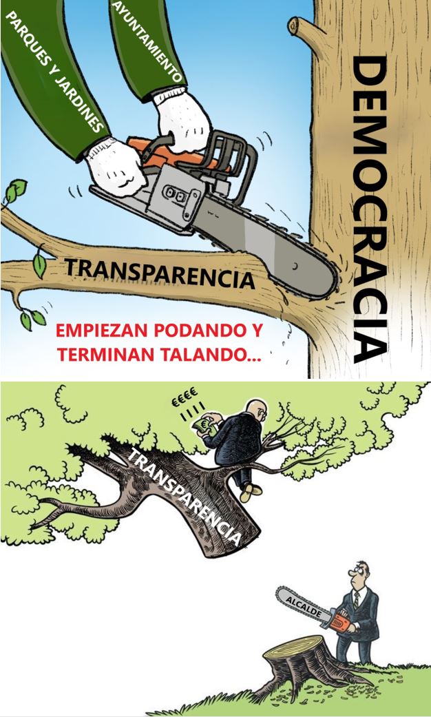 <a href="/SOSterritorios/">Red Territorios Sostenibles #RedEcoTerritorios</a> <a href="/Ayto_Sevilla/">Ayuntamiento de Sevilla</a> 🔴La falta de #Transparencia del <a href="/Ayto_Sevilla/">Ayuntamiento de Sevilla</a> es escandalosa.
NO hay #FichaDeApeo del #Ficus.
Su fallo y vuelco es también compatible con su falta de #Cuidados, estaba descompensado, era inestable, padecía afección fúngica por hongos y debería haber tenido un #Alcorque de 3x2 m.