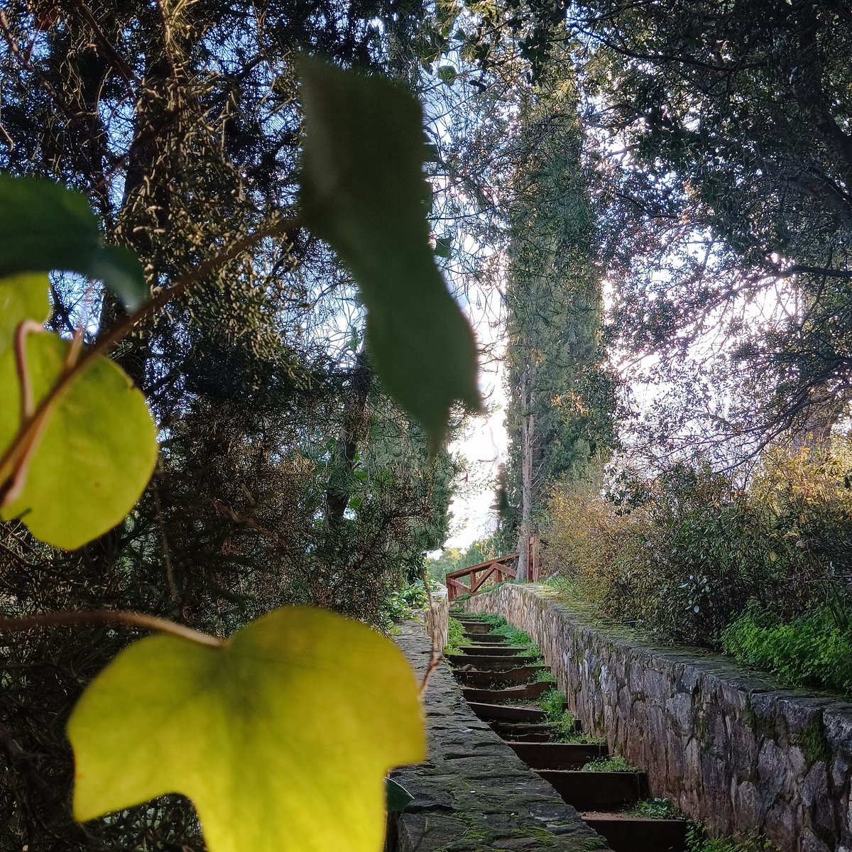 Ψάξε μονοπάτι απάτητο 
Απ' τα βλέφαρα διώξε τον ύπνο
Φίλα τους προδότες σου στο δείπνο
Χάραξε πορεία για το άρρητο..youtu.be/FVLP7c2u1hU?si…