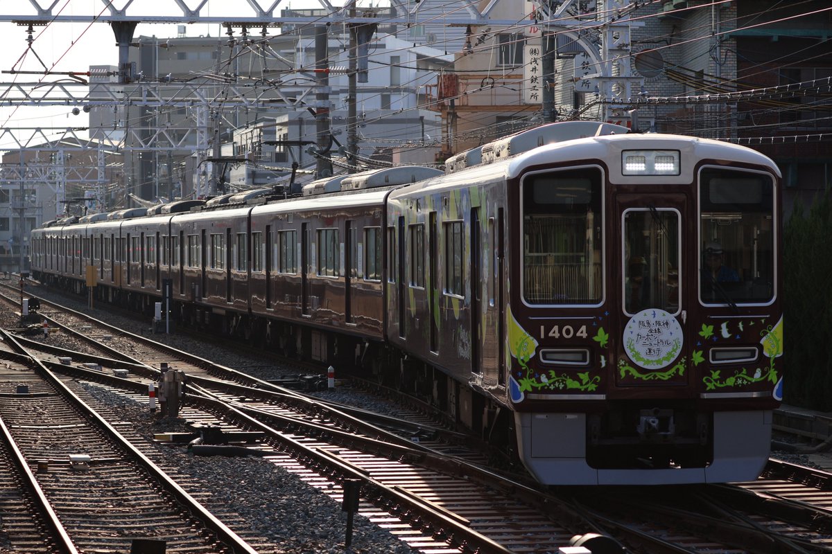 れちゃ (@recha963) / Posts / X