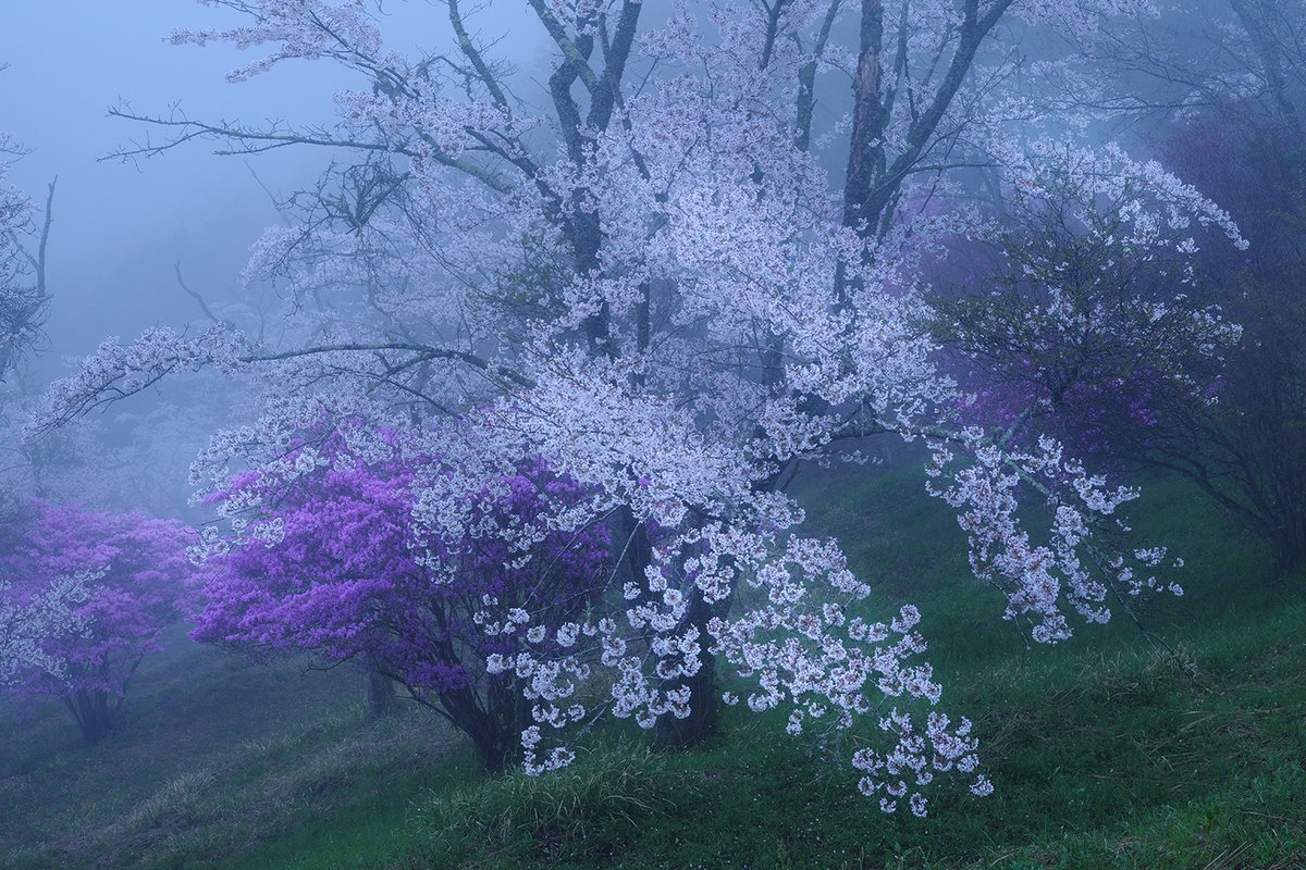 新年を風景写真で彩る『風景写真祭2026』 「第21回美しい風景写真100人