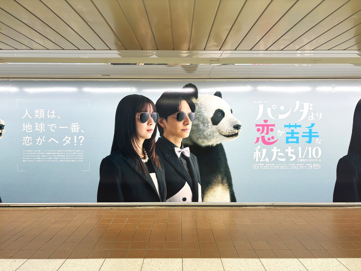 パンダより恋が苦手な私たち　Ｂ3サイズポスター　上白石萌歌　生田斗真　非売品 上白石萌歌＆生田斗真、ラブコメで初共演 「パンダより恋が苦手な私