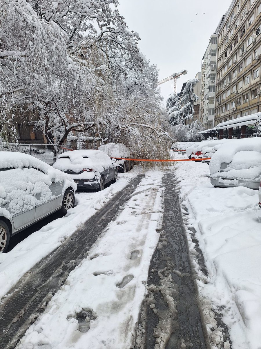 SSP_Vracar's tweet image. .@prijavi_problem 

U Beogradu kada padne sneg kao da je armagedon.

Nevesinjska zatvorena za saobraćaj.