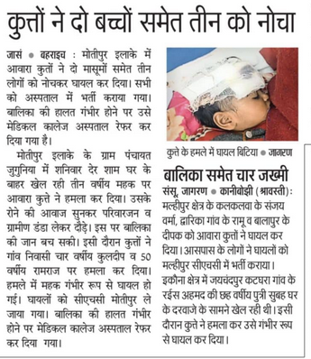 हर दिन ऐसी ही खबरें पढ़ने को मिलती हैं, लोग आवारा कुत्तों के हमलों में घायल हो रहे हैं, लेकिन आवारा कुत्तों के प्रेमियों को उनकी कोई फिक्र नहीं है... #StrayDogs