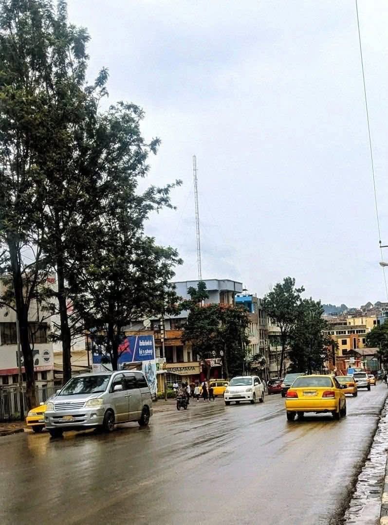 🇨🇩 Soraya Aziz-Moto tweet media