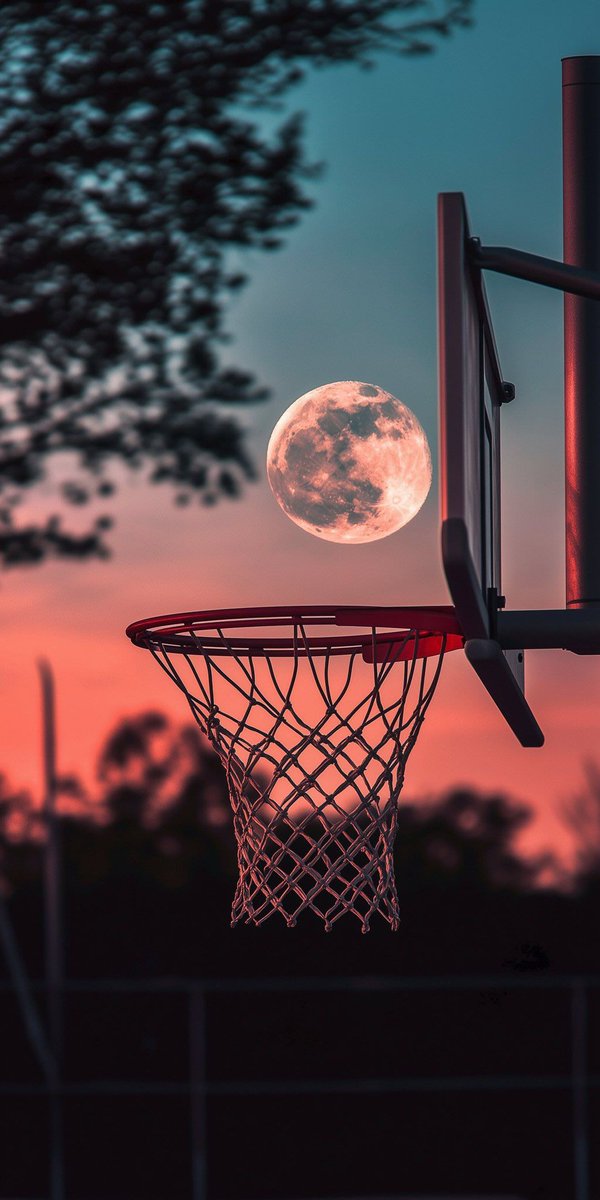 DailyMoonX's tweet image. 