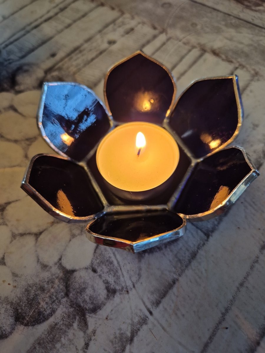 Kasandora 🏳️‍🌈 tweet media