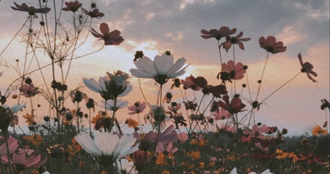 Yahiko Grantz 📮🍁 VICTOR FOR DS 2026 tweet media