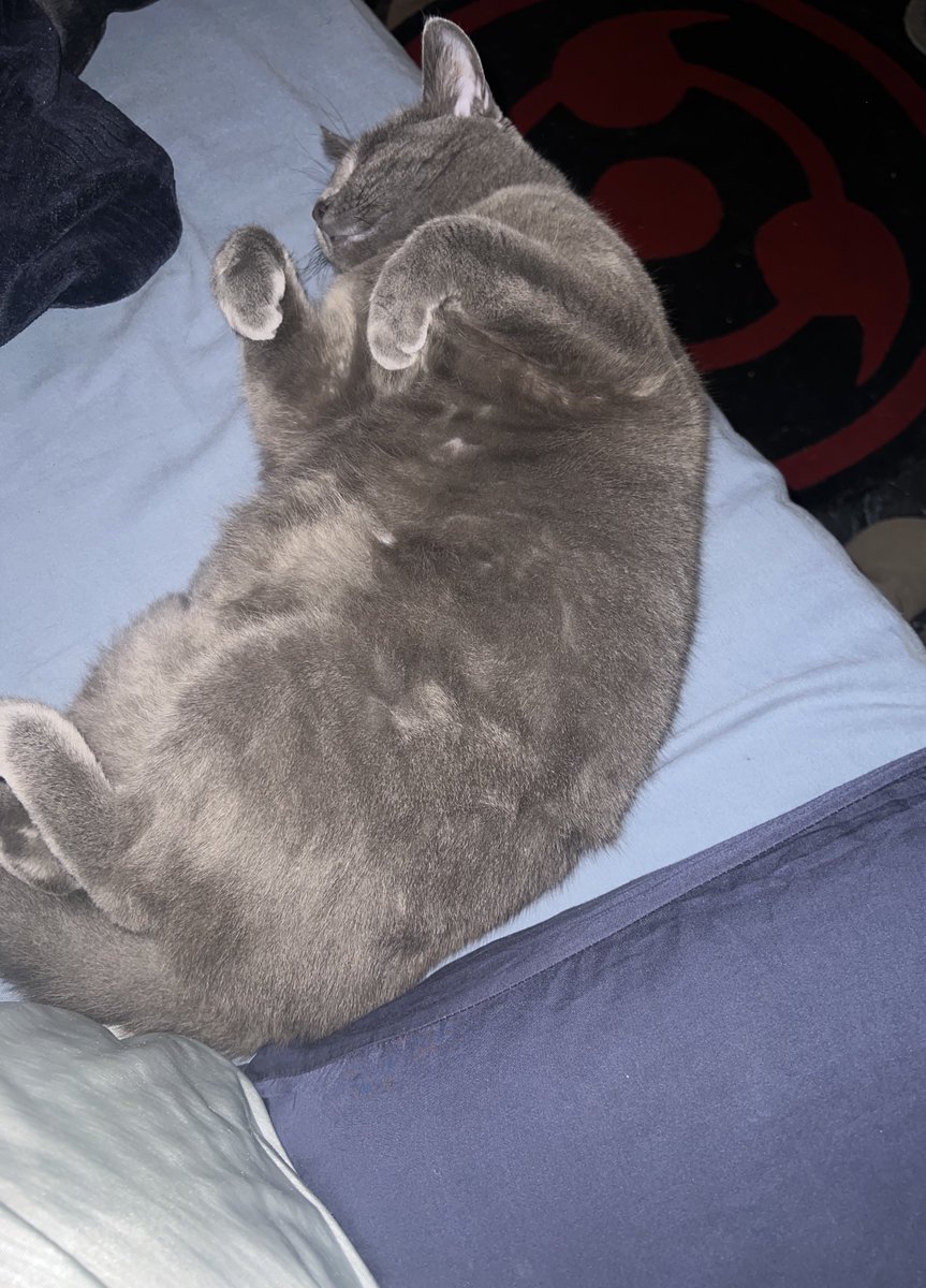 Sleep feel bomb af when u don’t pay bills huh