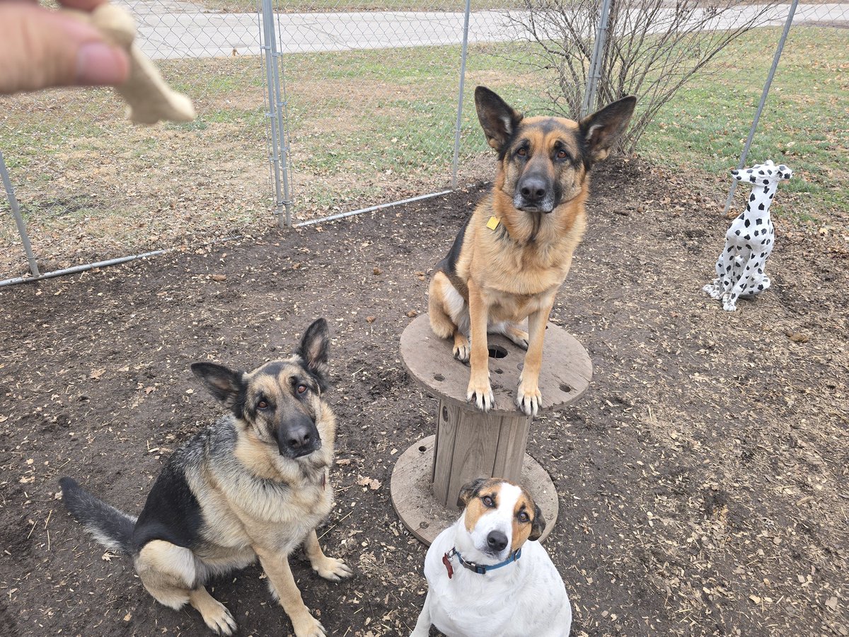 Greg Watsabaugh tweet media