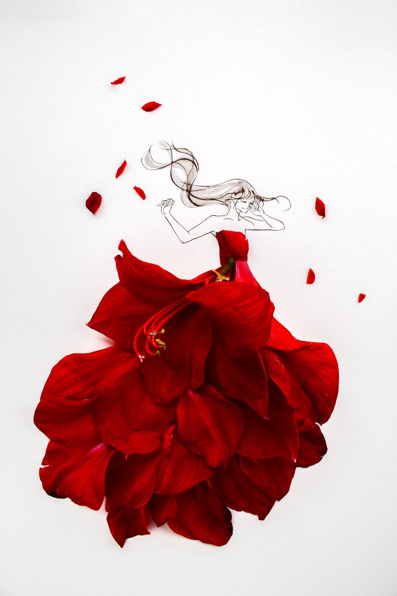 こっこ (@cocco3673) / Posts / X