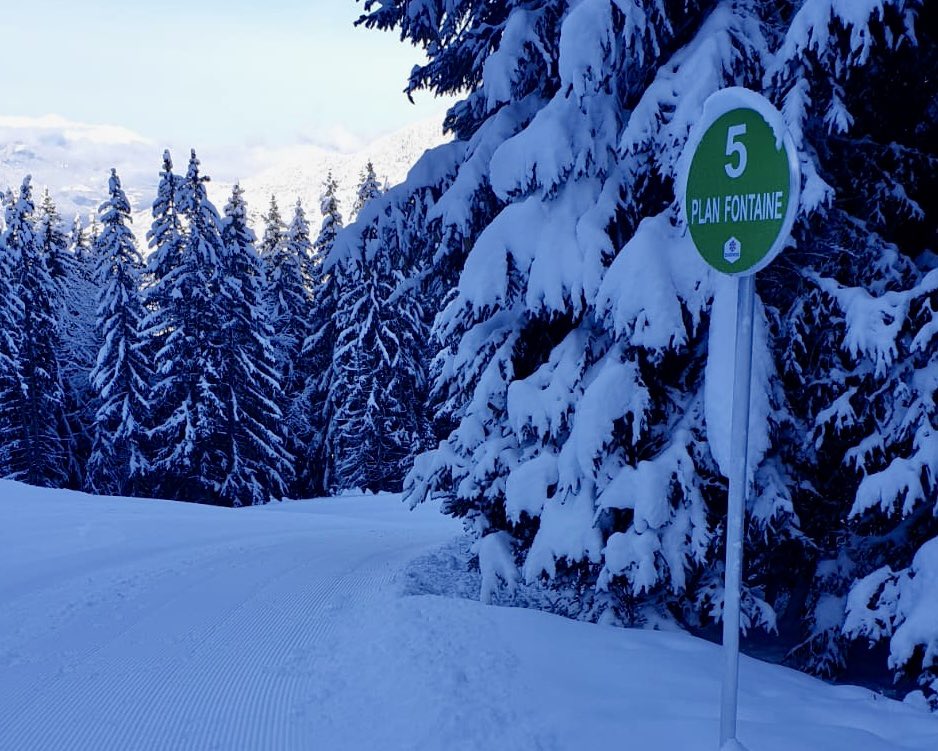 Great News! The green Plan Fontaine piste down to #LaTania village is schedule to open from 10:30 this morning once safety and security checks have taken place.

Fantastic work by the S3V teams. 

Better get that table at Pub Le Ski Lodge booked for lunch! +33 (0)479 088149