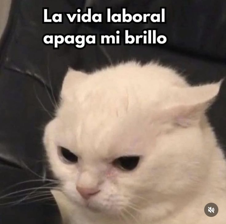 En Júpiter (@en_jupiter_) on Twitter photo 