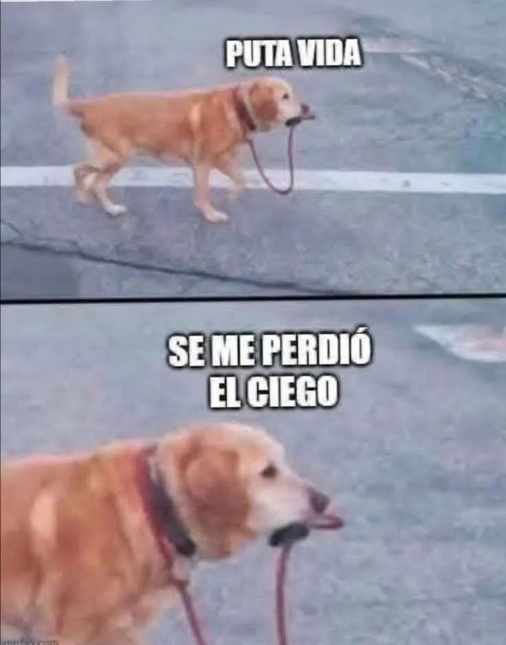 En_jupiter_'s tweet photo. JAJAJA https://t.co/nAcFkPzfKK