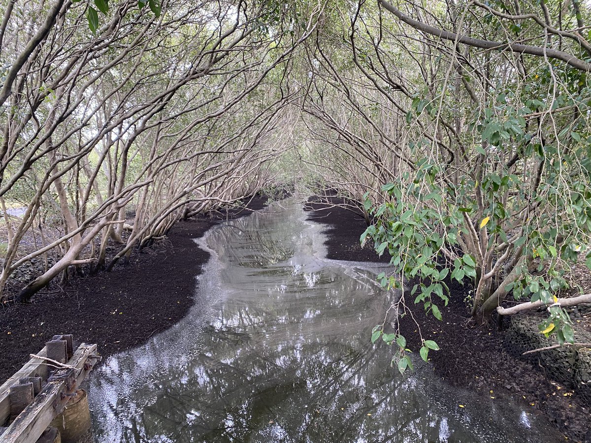 Jand Boy tweet media