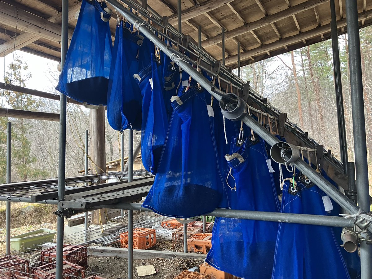 バクコメ 半澤 弘貴 tweet media