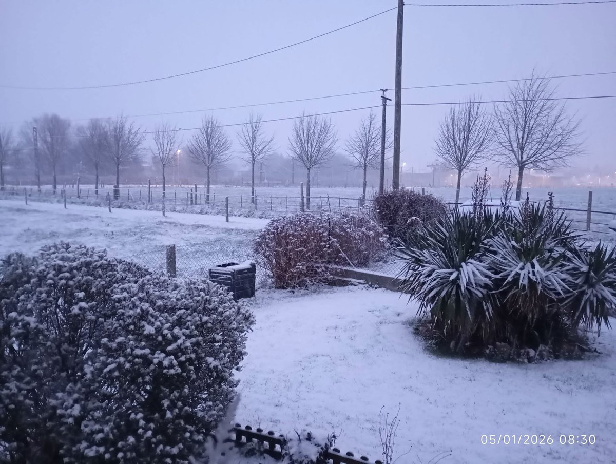Décidément, l’hiver nous gâte en blanc cette année ! Bonjour.